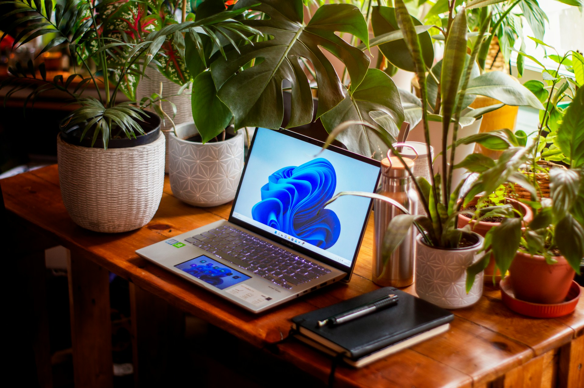 Notebook con Windows en un escritorio decorado con plantas